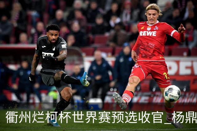 衢州烂柯杯世界赛预选收官 杨鼎新连笑晋级本赛